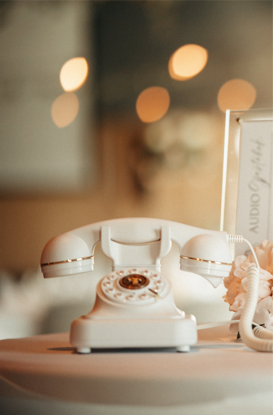 Audio Guestbook (Utleie)