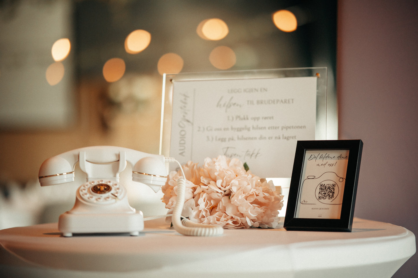 Audio Guestbook (Utleie)